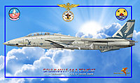 F-14 A uss vinson publ.jpg