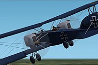 Albatros-5.jpg