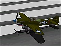 P-40N_Portrait.jpg