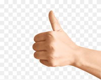 Click image for larger version. 

Name:	png-transparent-person-thumbs-up-thumb-hand-finger-arm-digit-thumbs-up-photography-thumb-signal-.png 
Views:	1 
Size:	7.4 KB 
ID:	89047
