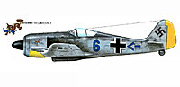 Click image for larger version. 

Name:	Focke-Wulf-Fw-190A-10.JG2(Jabo)-Blue-6-WNr-080-Beaumont-le-Roger-France-1942-0A (1).jpg 
Views:	64 
Size:	48.2 KB 
ID:	91499
