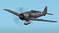 Click image for larger version. 

Name:	FW190A-8RJG300.jpg 
Views:	0 
Size:	30.6 KB 
ID:	6732