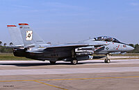 Click image for larger version. 

Name:	Fast Eagle CAG.jpg 
Views:	228 
Size:	390.8 KB 
ID:	92605